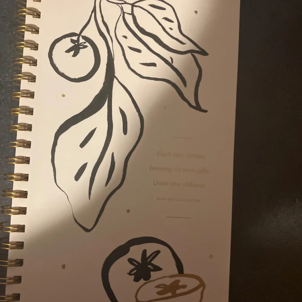 Weekly Plannly Nwot